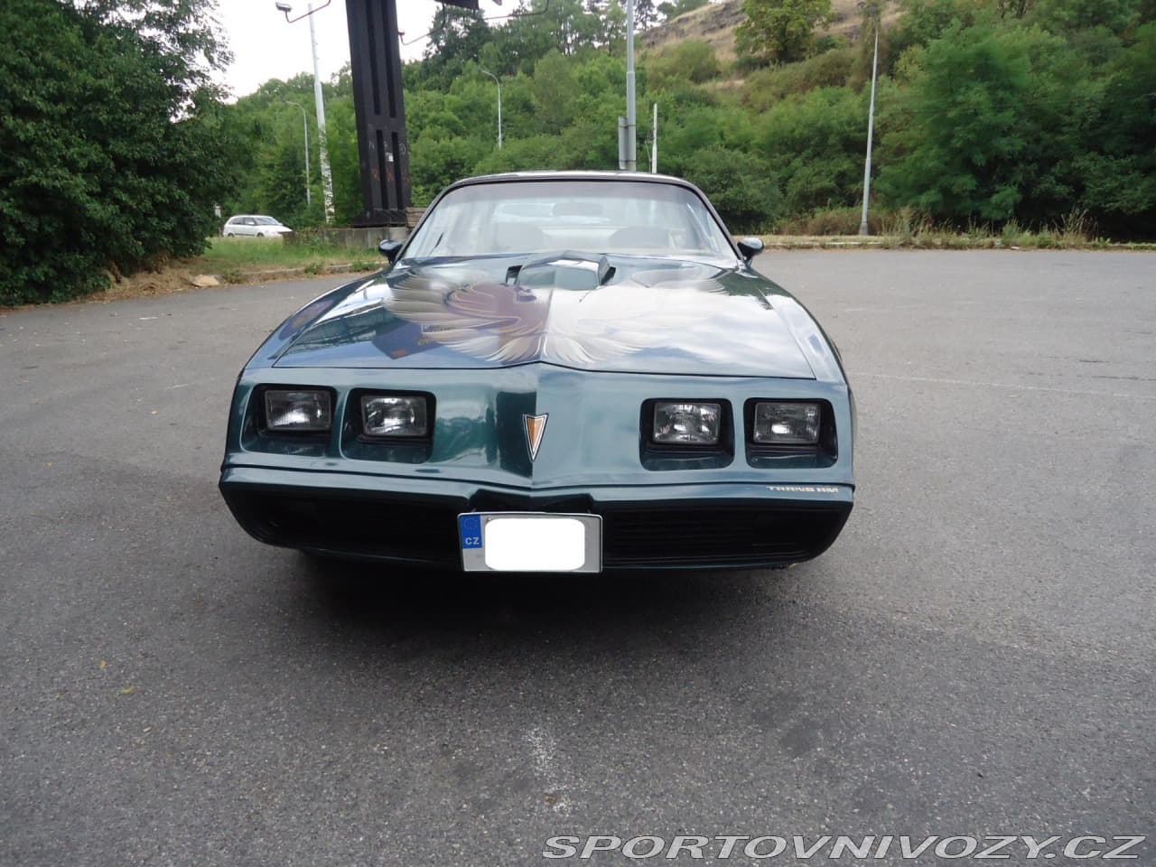 1979 Pontiac Firebird - 4