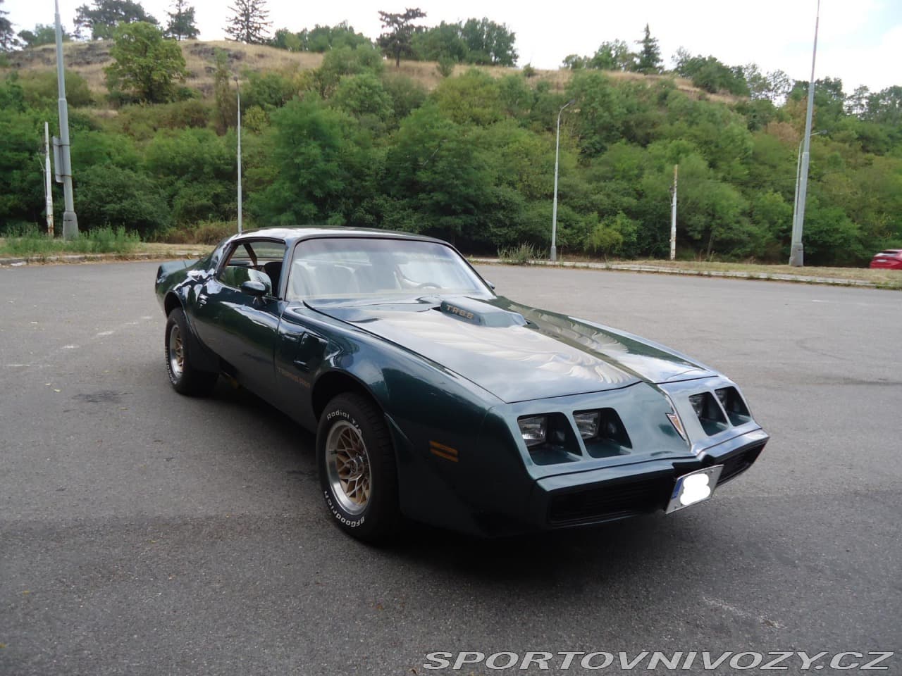 1979 Pontiac Firebird - 5