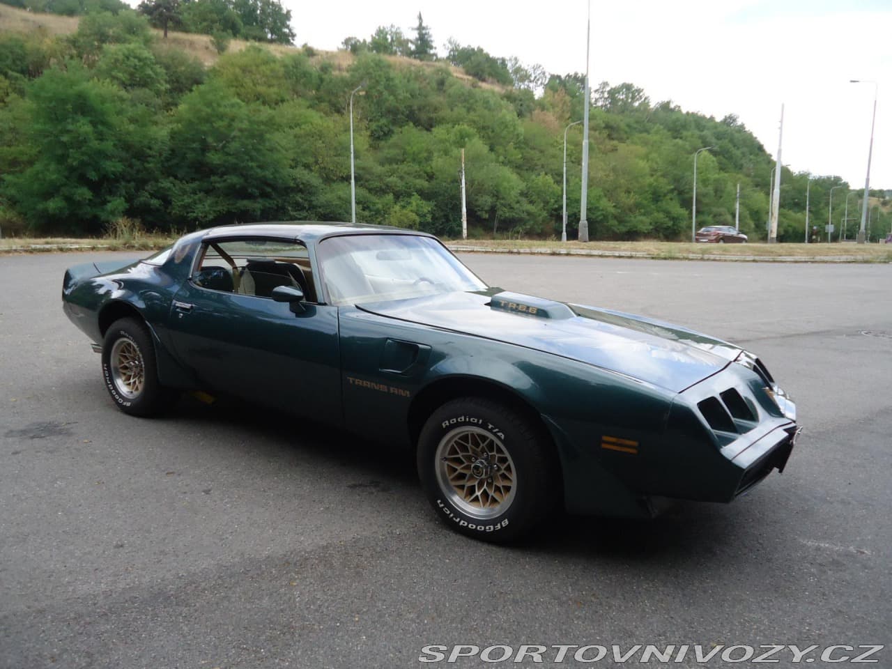 1979 Pontiac Firebird - 6