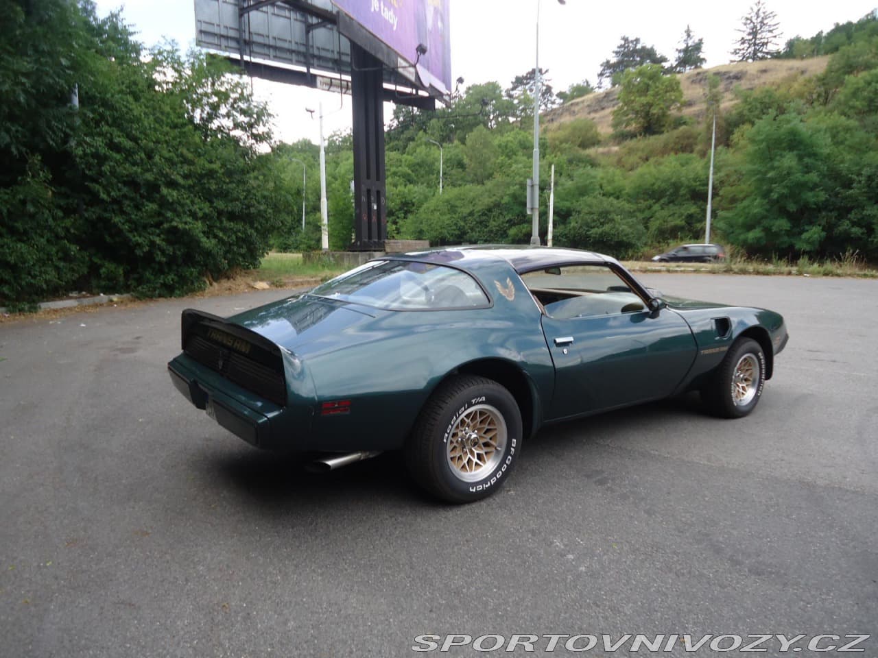 1979 Pontiac Firebird - 7