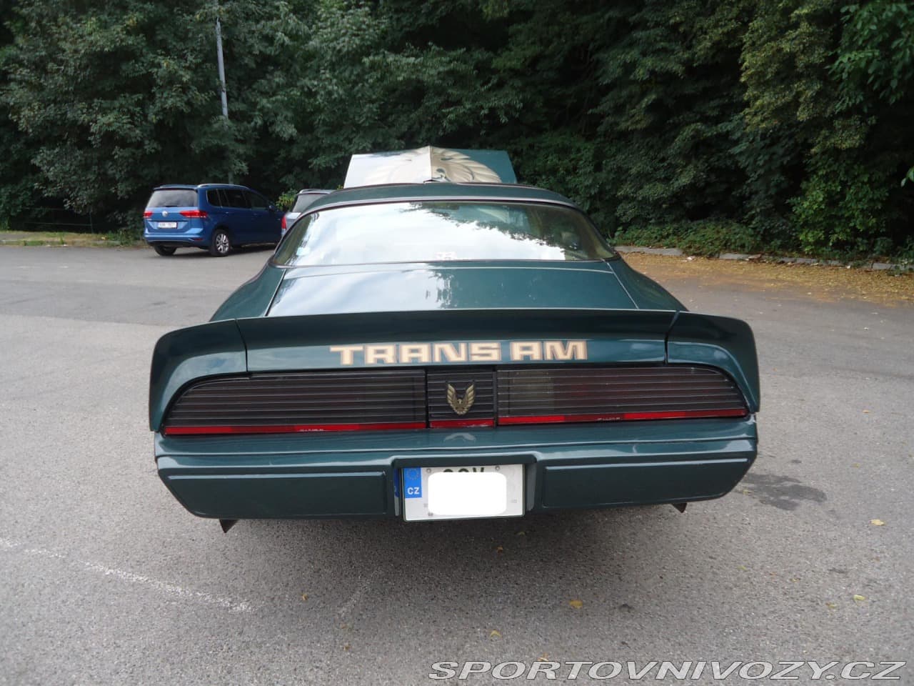 1979 Pontiac Firebird - 8