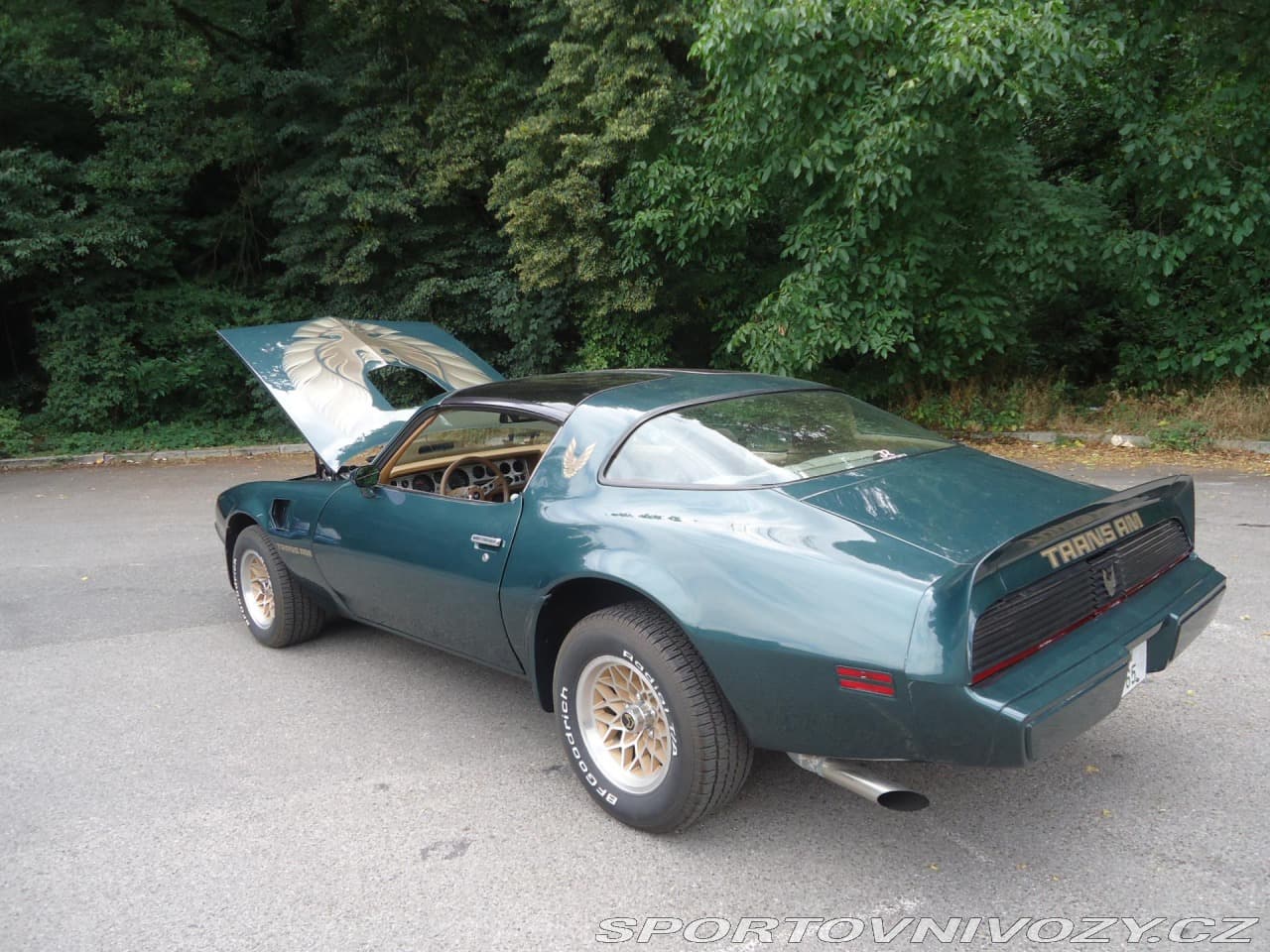 1979 Pontiac Firebird - 9