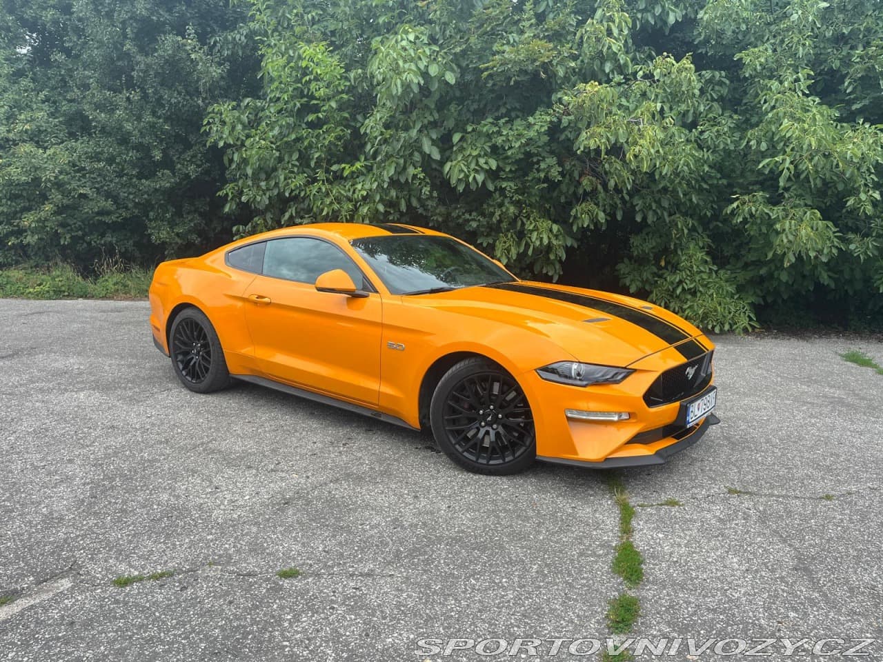 2019 Ford MUSTANG - 19