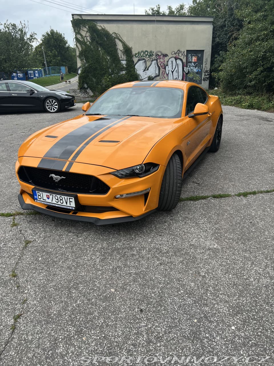 2019 Ford MUSTANG - 2