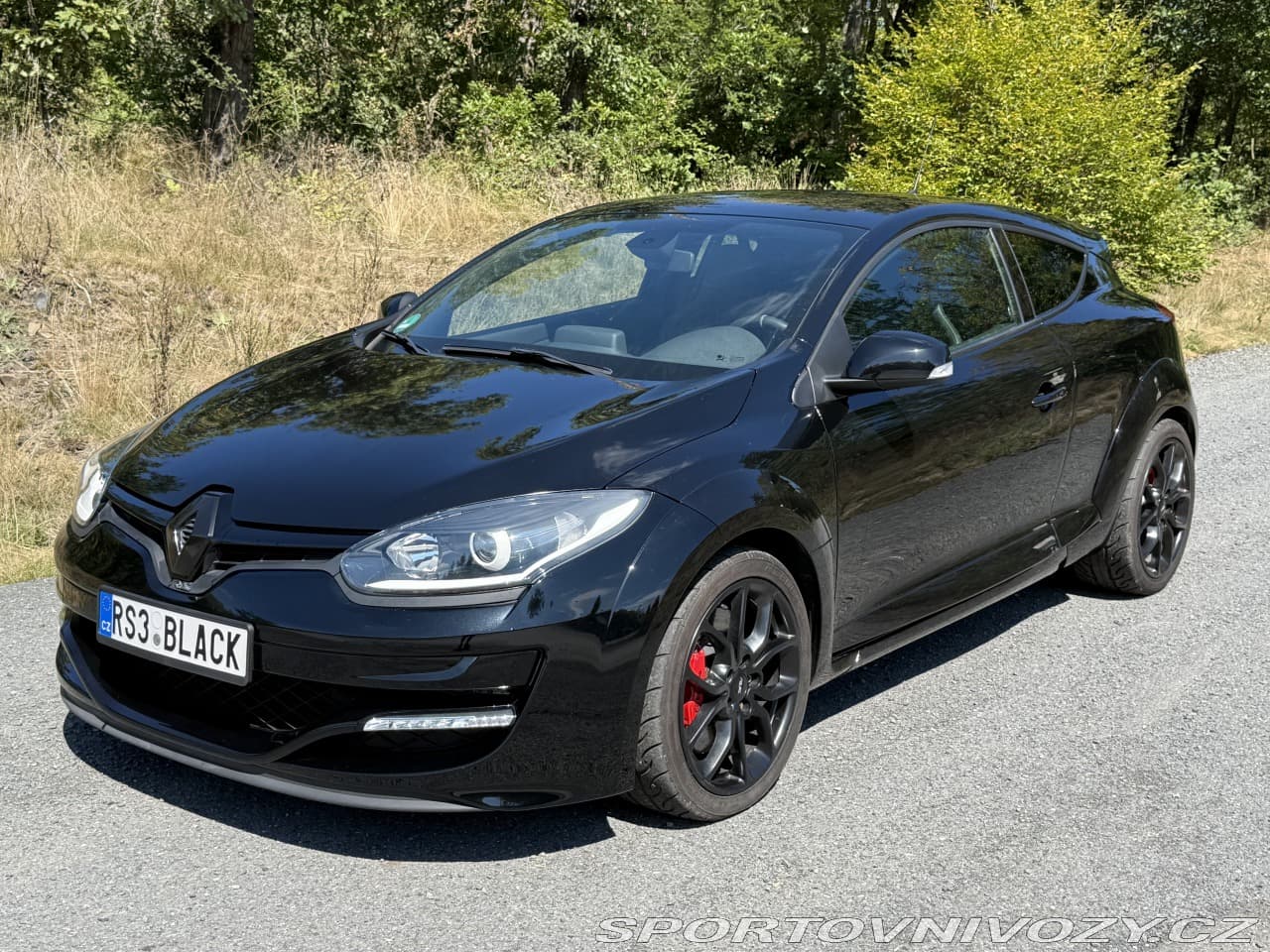 2014 Renault MEGANE