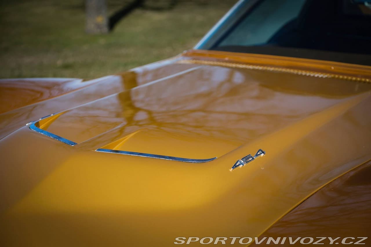 1971 Chevrolet CORVETTE - 9