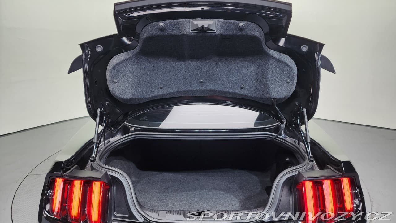 2017 Ford MUSTANG - 20