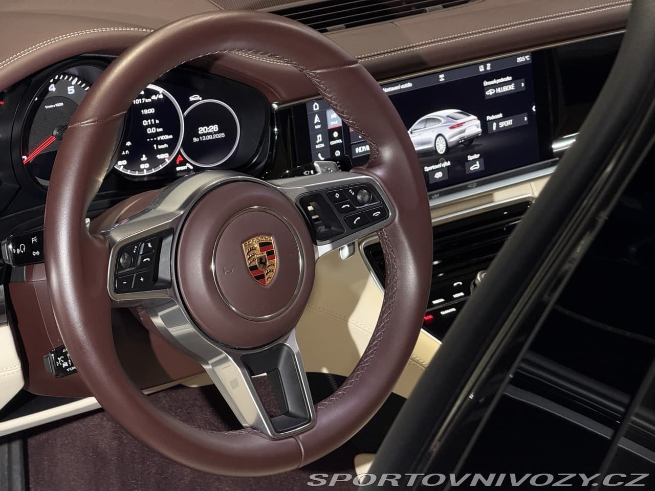 2018 Porsche PANAMERA - 9