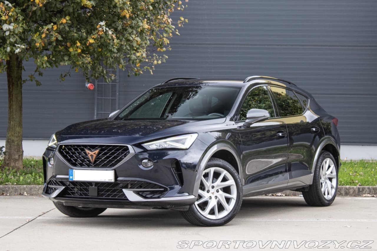 Cupra Formentor 2.0TDI 4Drive DSG /aj na