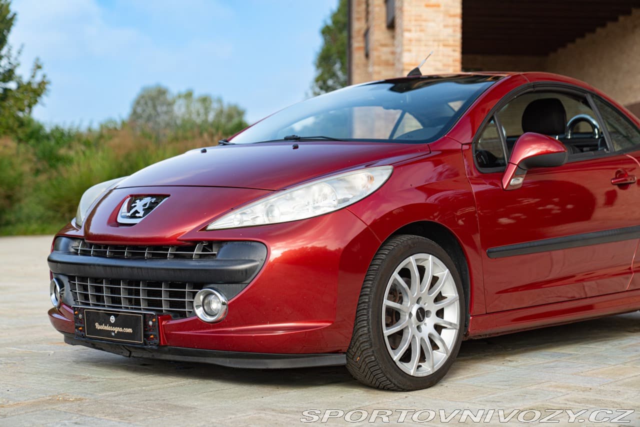 2008 Peugeot 207 - 16