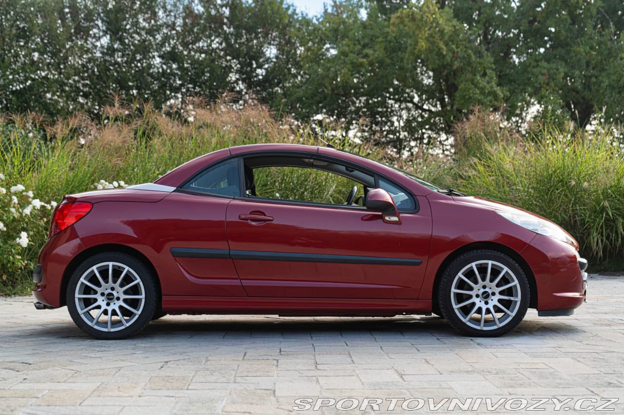 2008 Peugeot 207 - 5