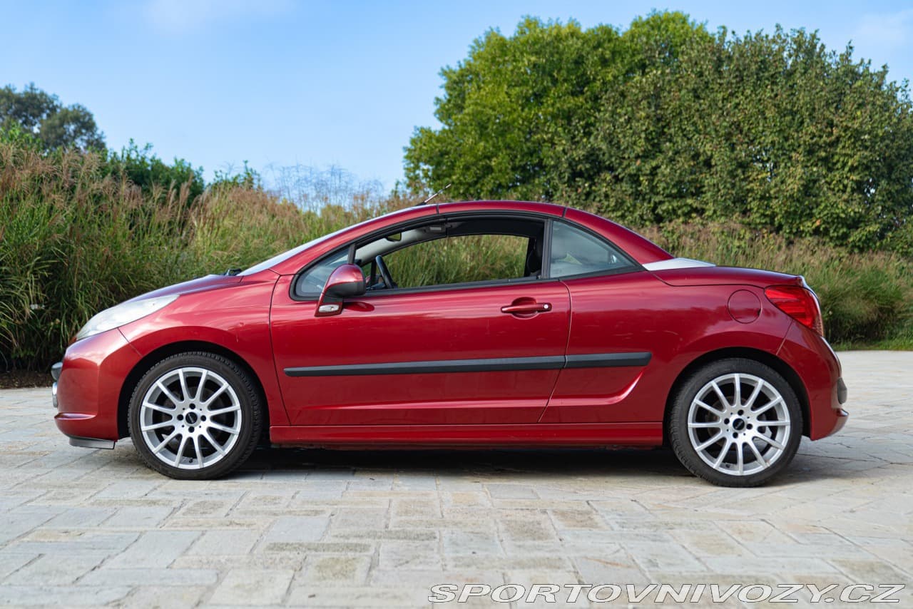 2008 Peugeot 207 - 6