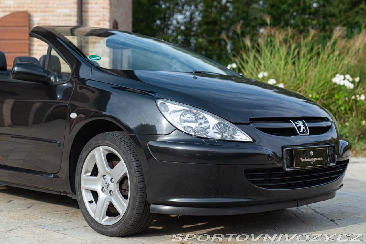 2004 Peugeot 307 - 15
