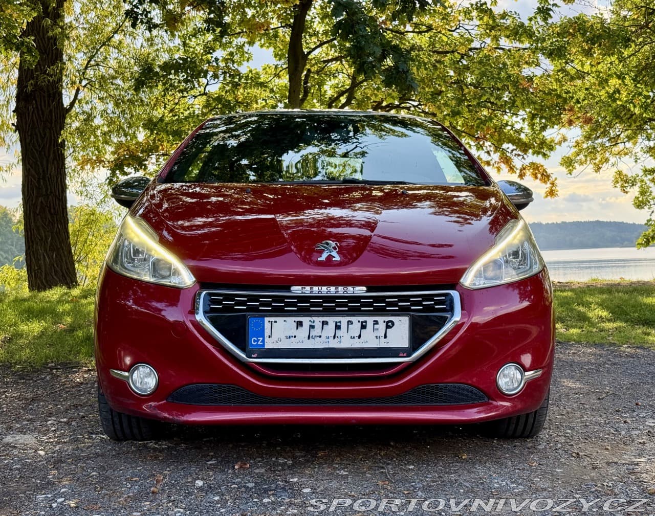 2014 Peugeot 208 - 3