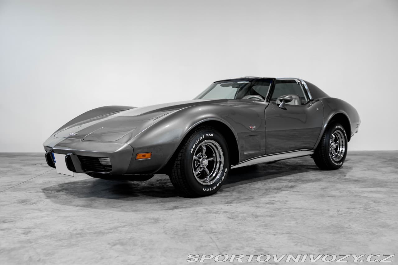 1977 Chevrolet CORVETTE - 3
