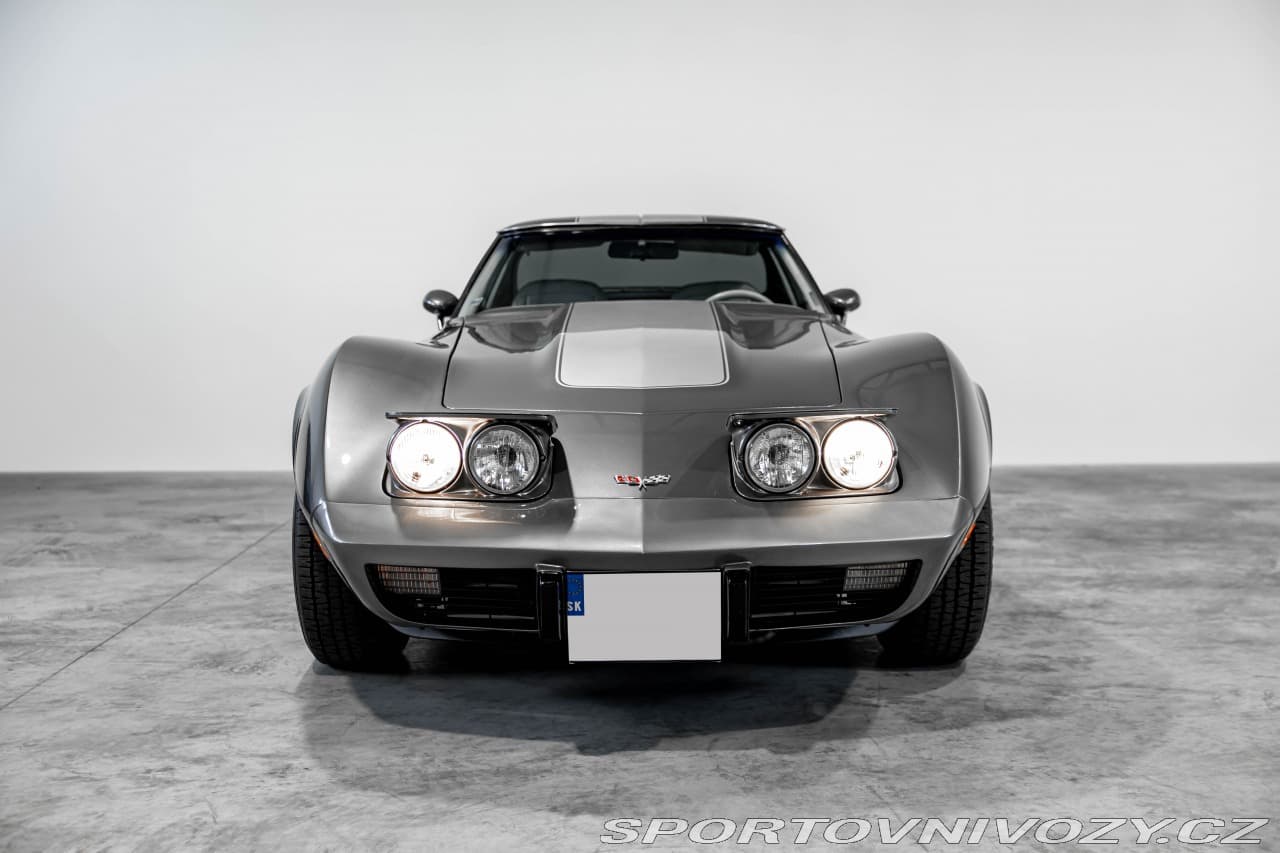 1977 Chevrolet CORVETTE - 8
