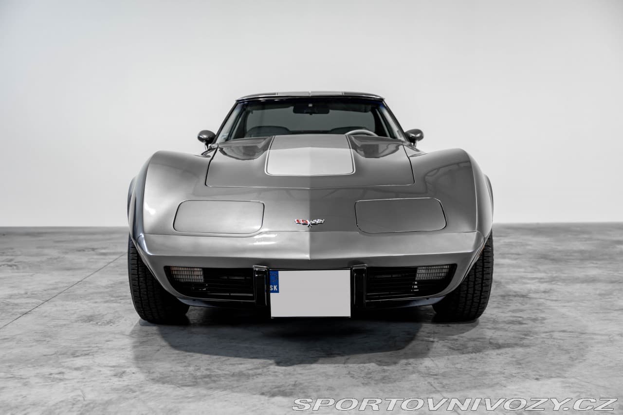 1977 Chevrolet CORVETTE - 9