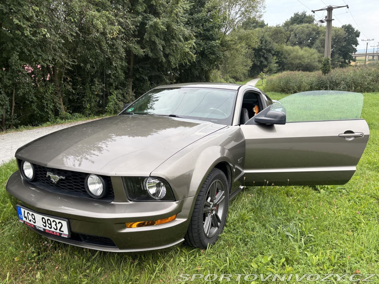Ford Mustang Ford Mustang 4,6 GT