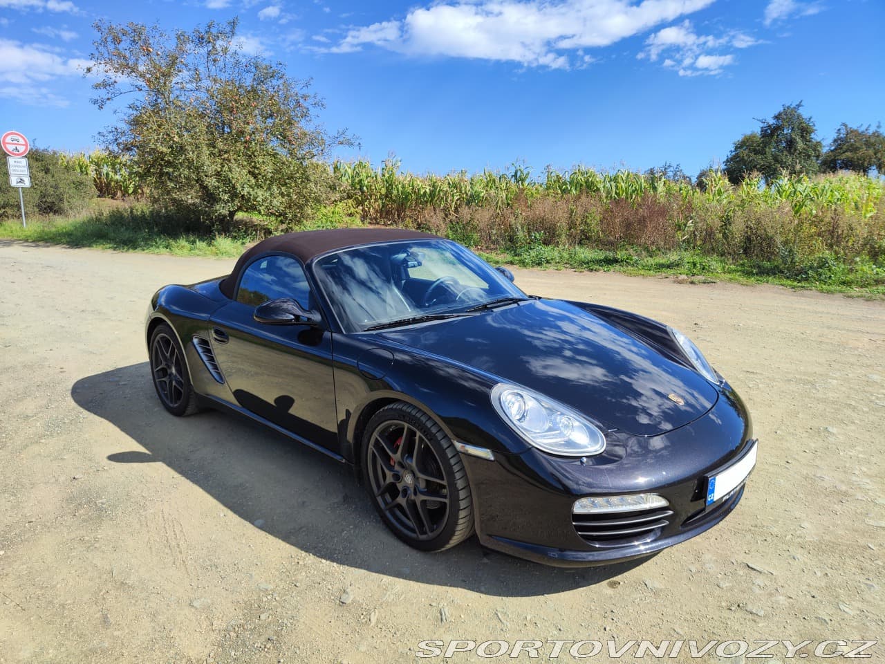 2010 Porsche BOXSTER - 10