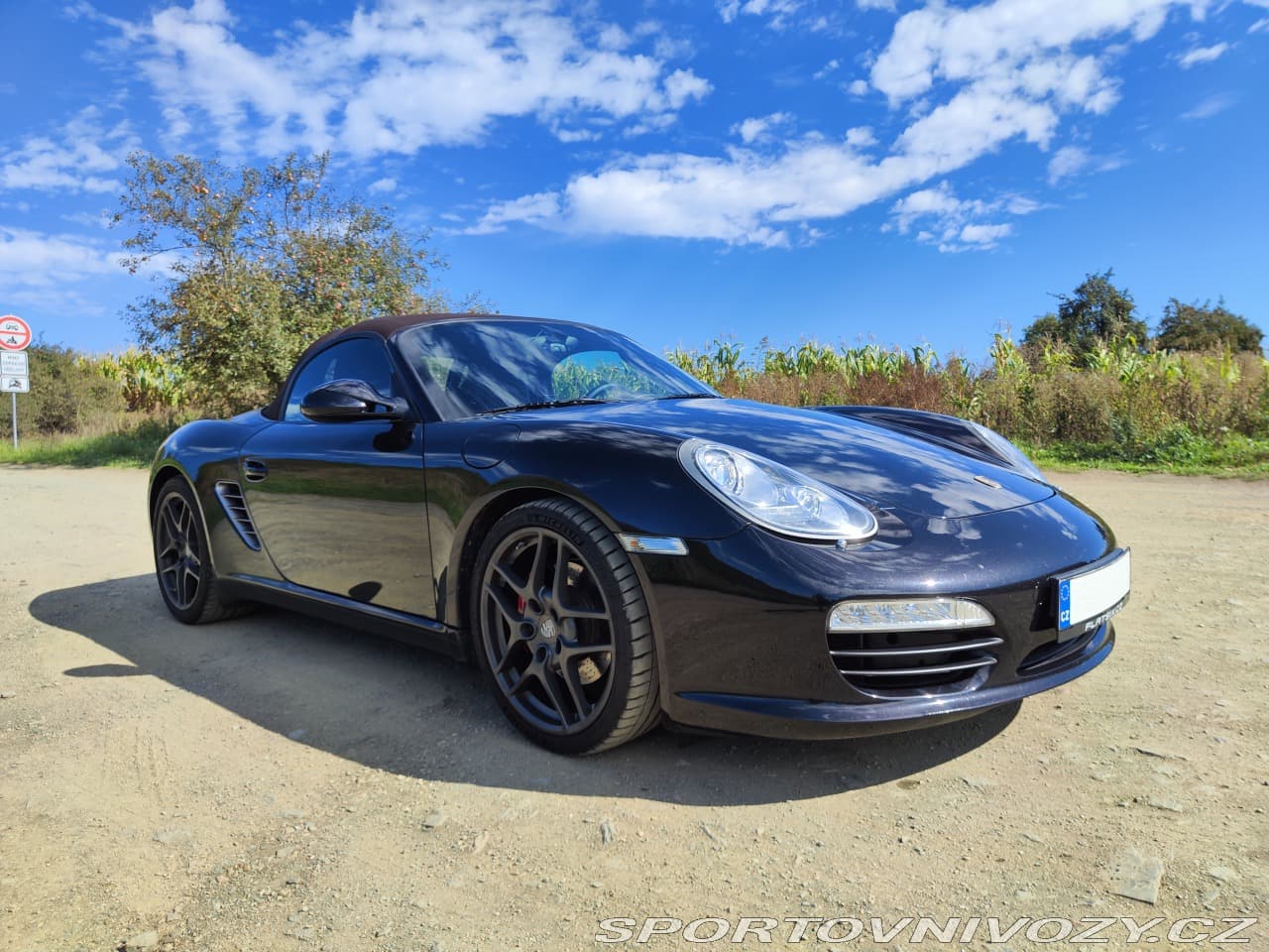 2010 Porsche BOXSTER - 11
