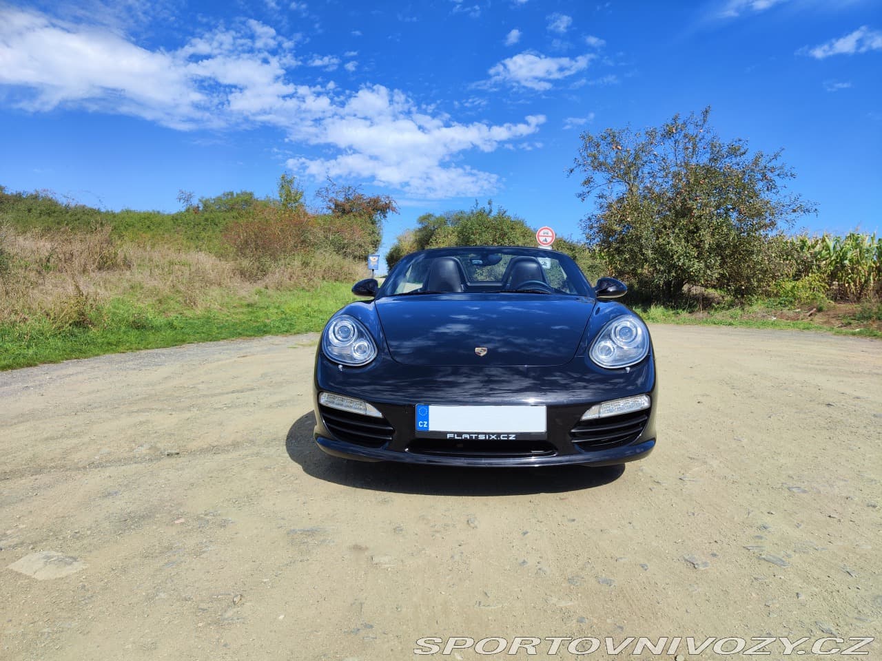 2010 Porsche BOXSTER - 2