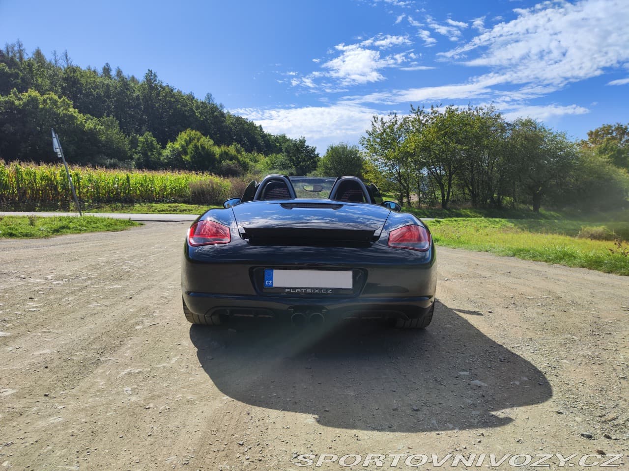 2010 Porsche BOXSTER - 5