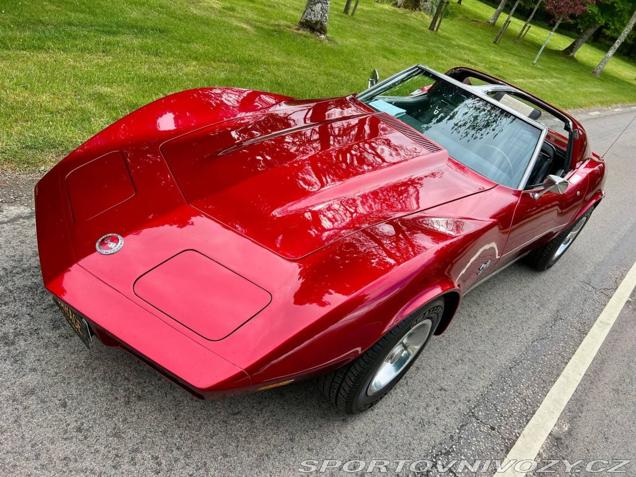 1973 Chevrolet CORVETTE - 10