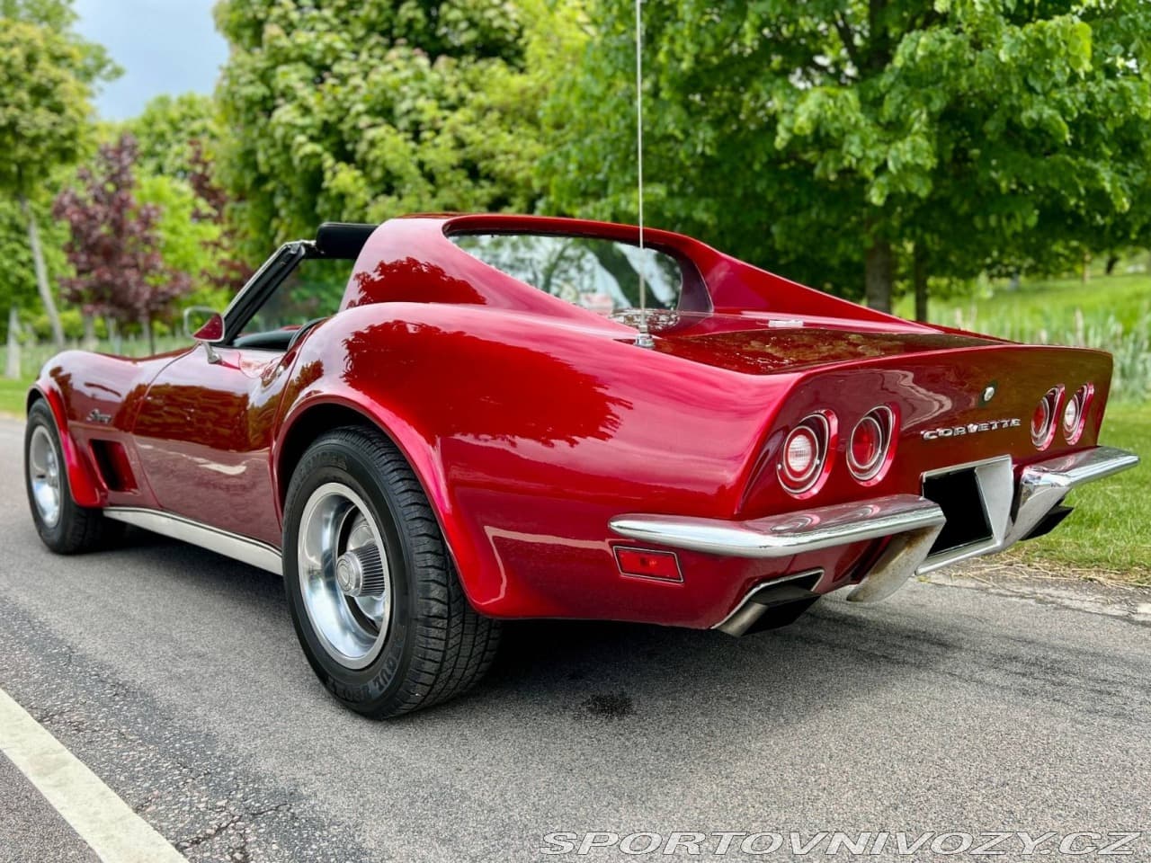 1973 Chevrolet CORVETTE - 3