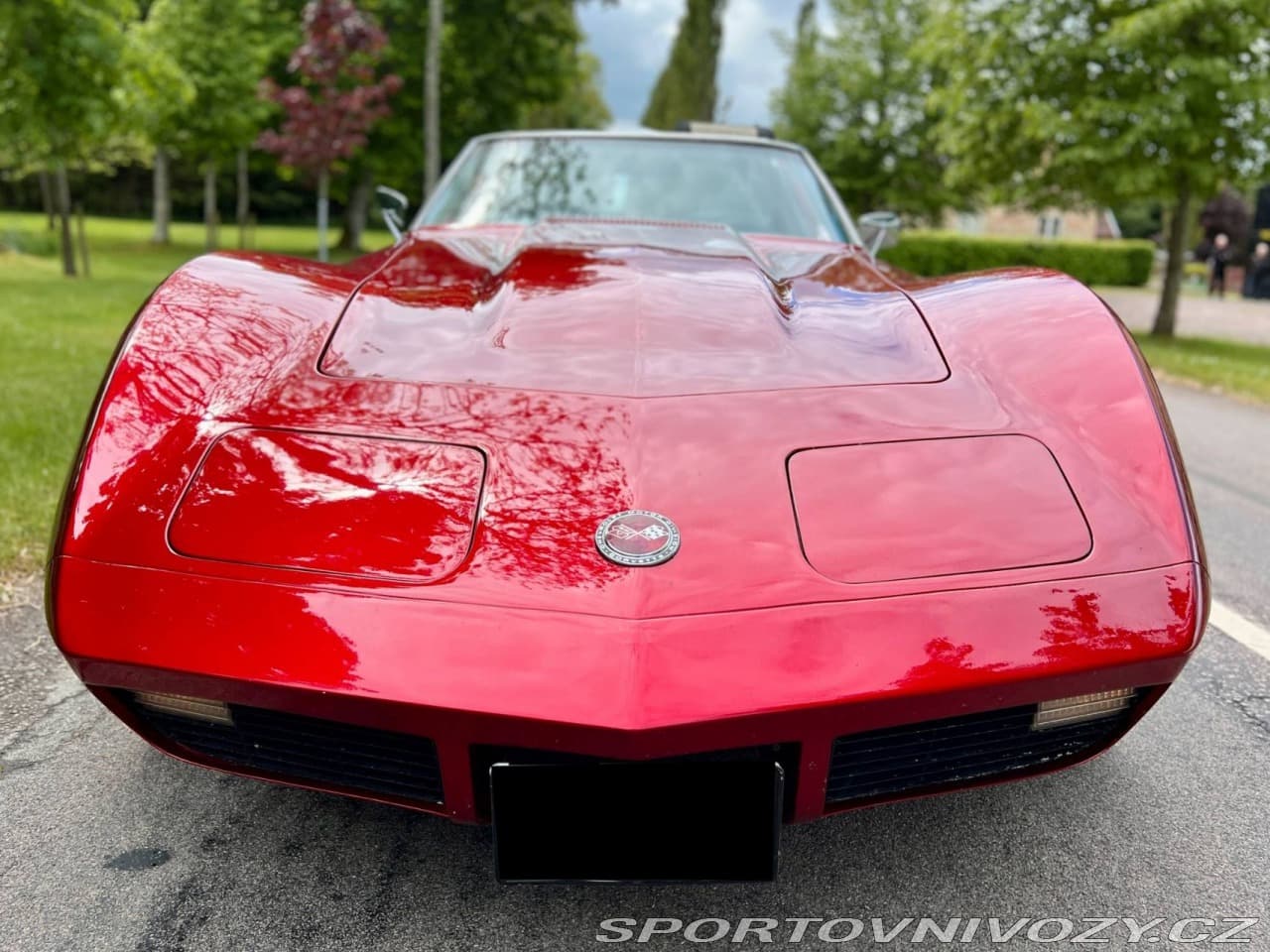 1973 Chevrolet CORVETTE - 5