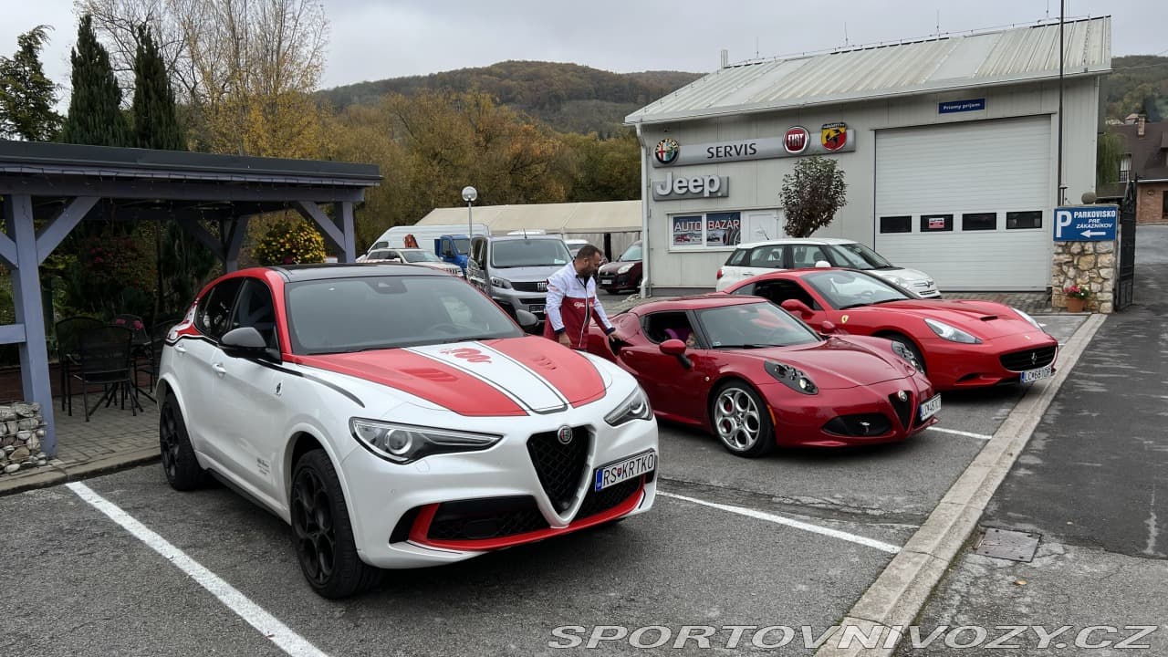 2021 Alfa Romeo STELVIO - 8