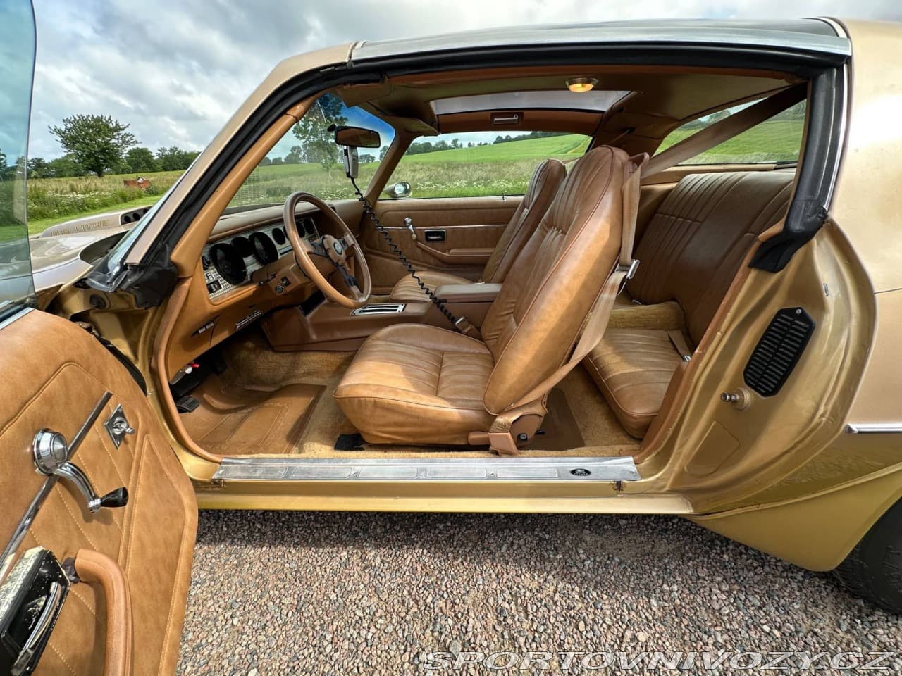 1979 Pontiac OSTATNÍ - 15