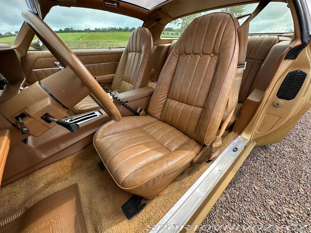 1979 Pontiac OSTATNÍ - 17