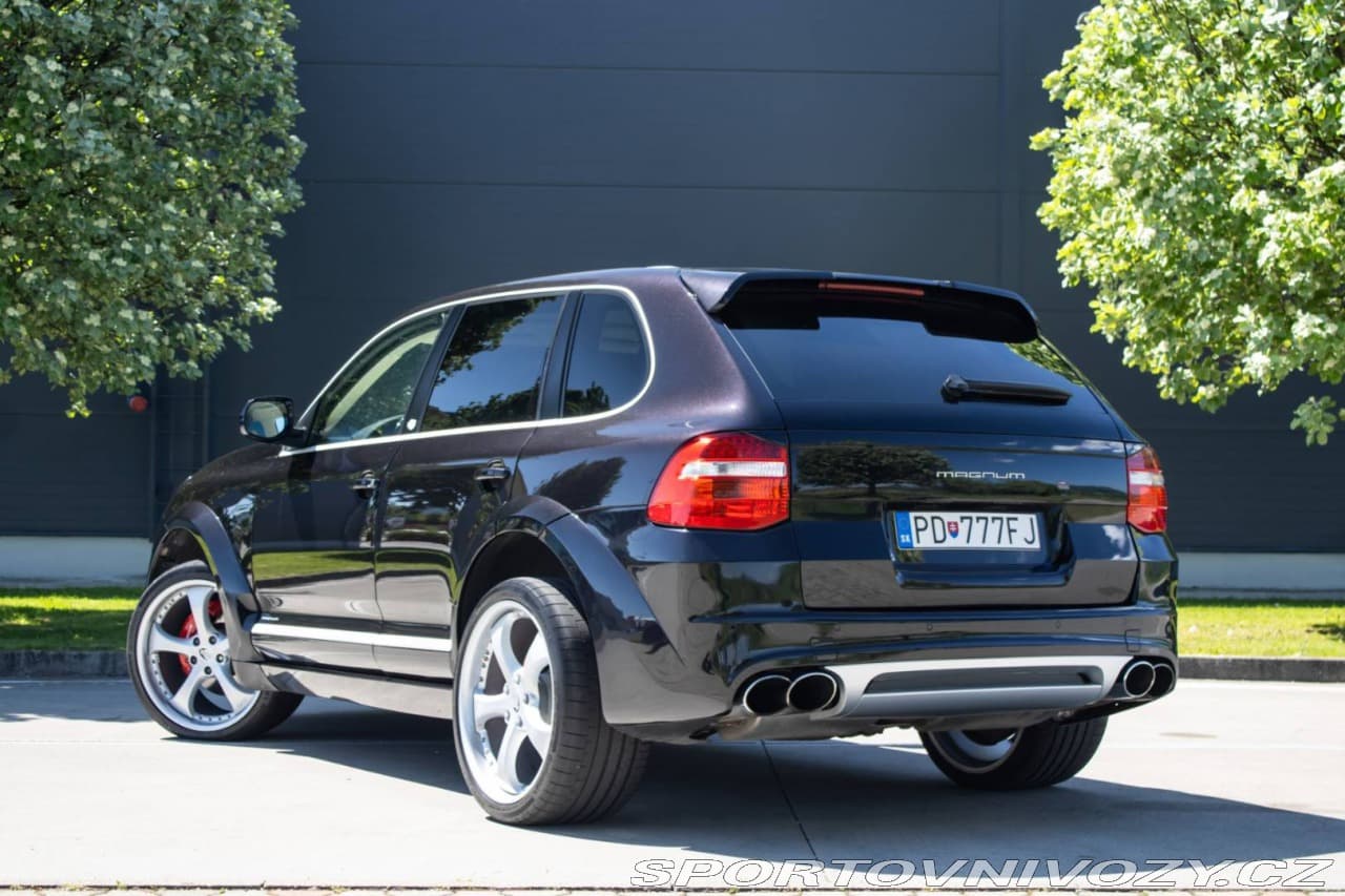 2008 Porsche Cayenne - 13