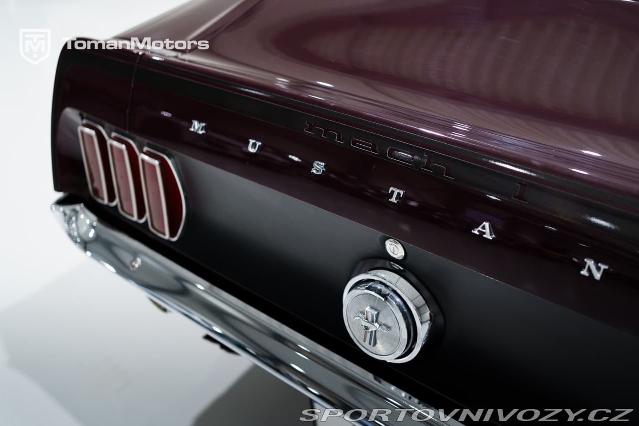 1969 Ford Mustang - 15