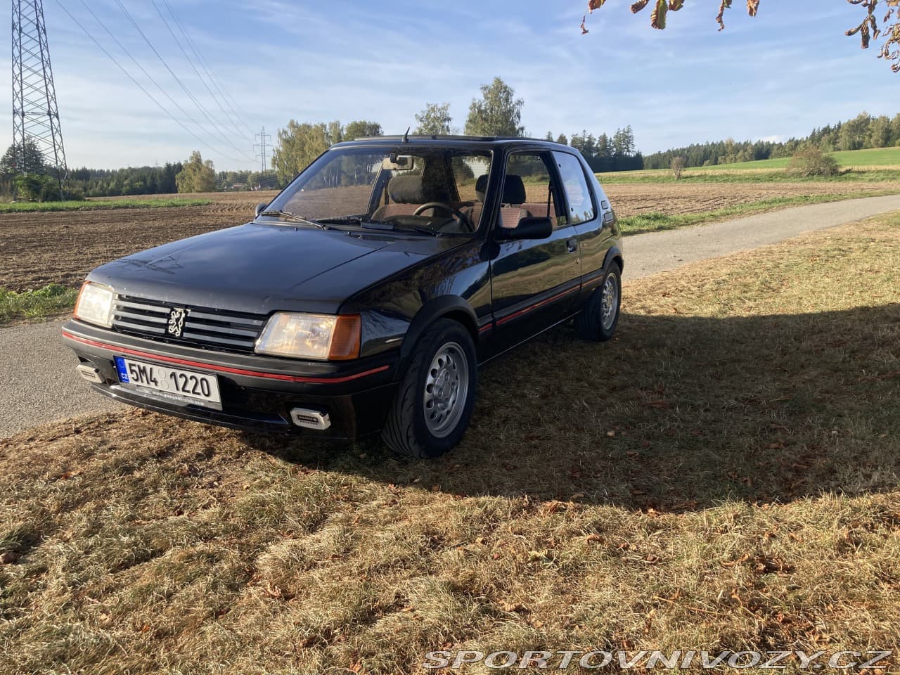 1986 Peugeot 205 - 12