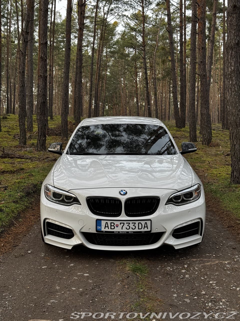 2014 BMW 2-SERIES - 2