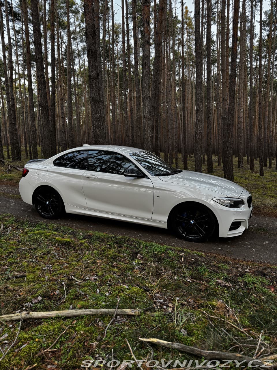 2014 BMW 2-SERIES - 3