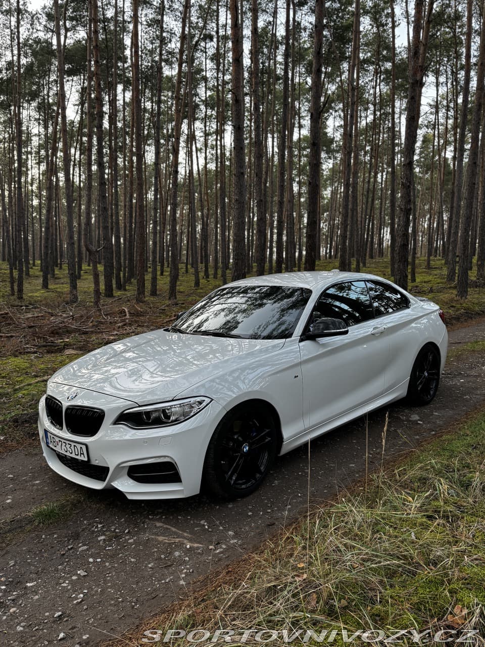 2014 BMW 2-SERIES - 4