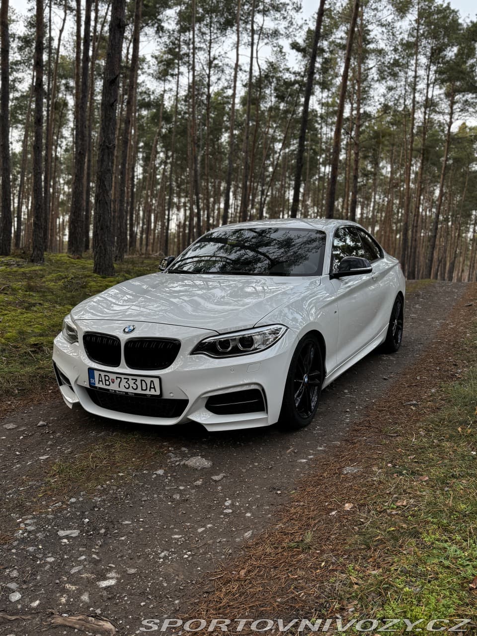 2014 BMW 2-SERIES - 7