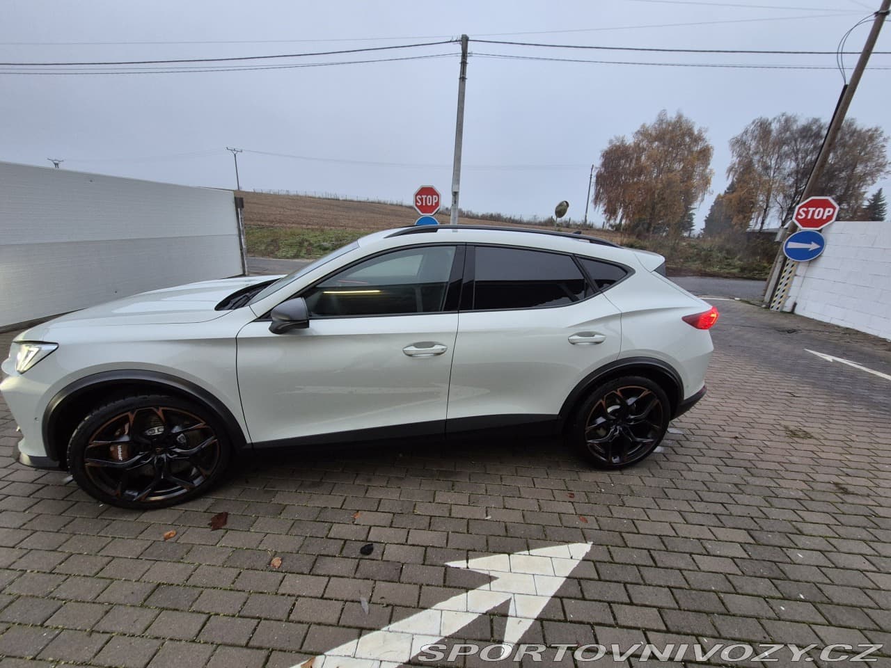 2024 Cupra Formentor - 29