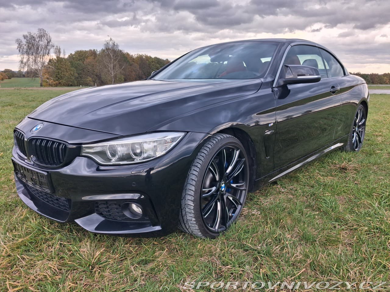 2015 BMW 4-SERIES - 3
