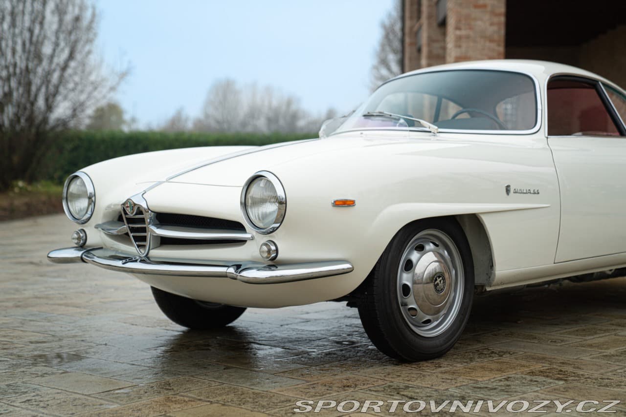 1964 Alfa Romeo GIULIA - 14