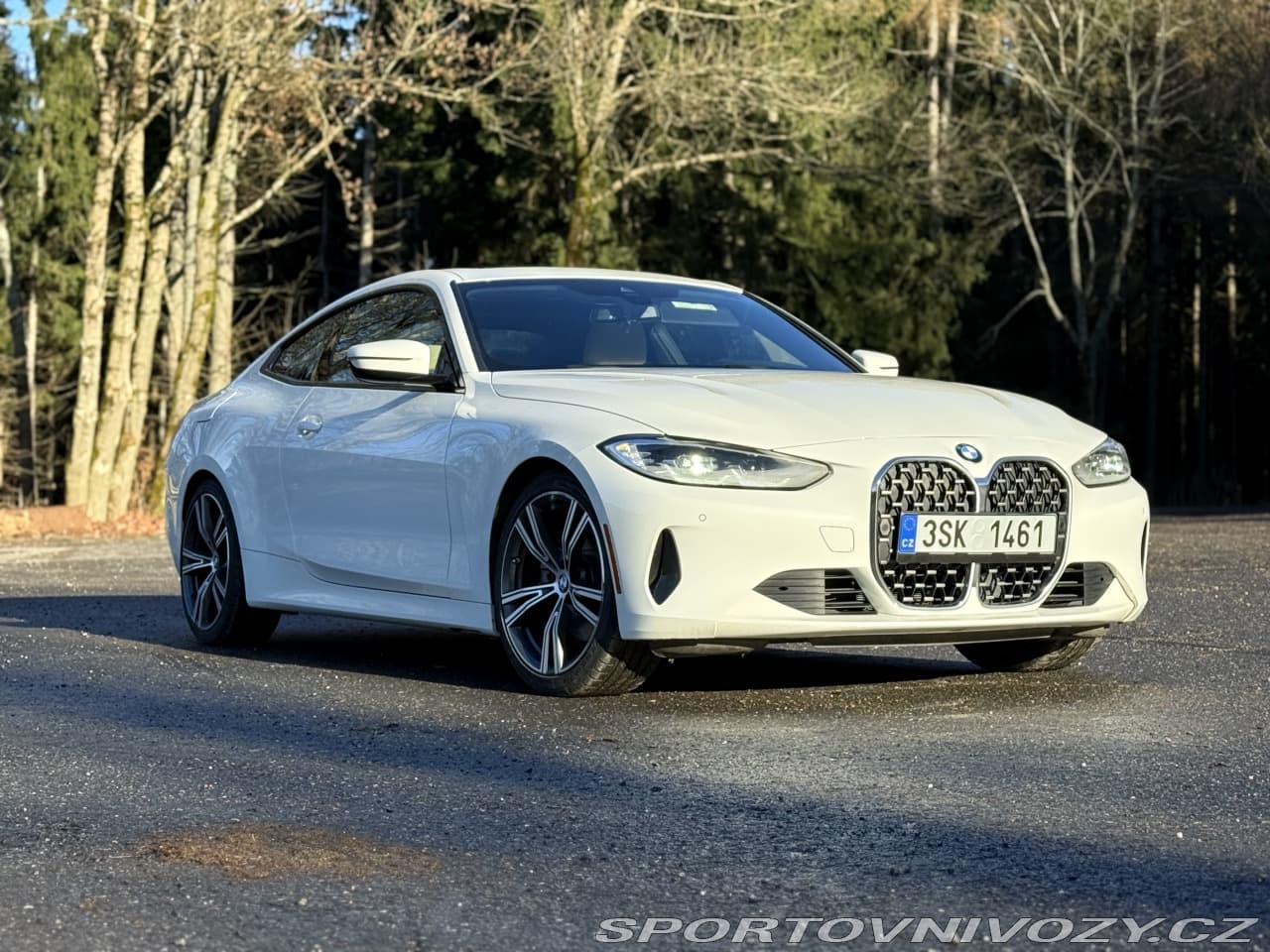 2020 BMW 4-SERIES - 8