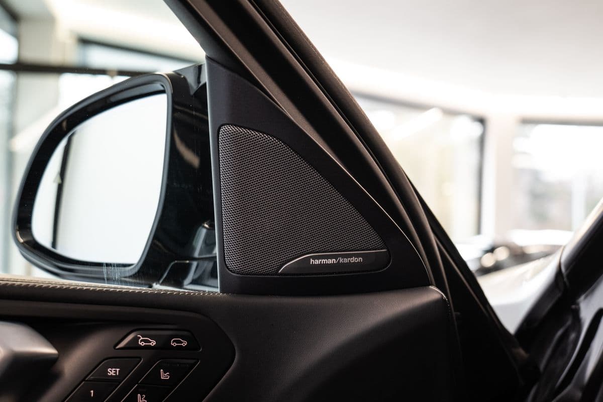 2019 BMW X6 - 19