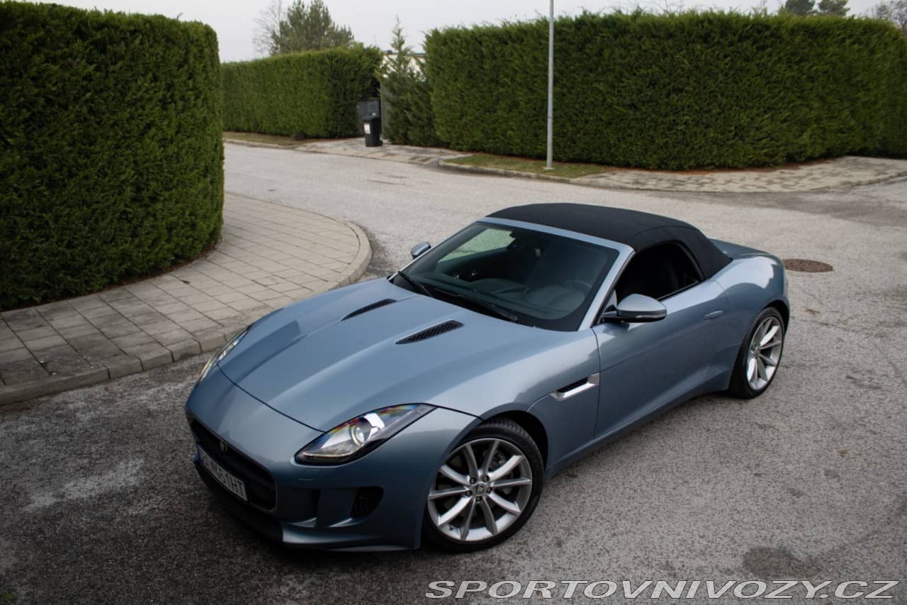 2014 Jaguar F-TYPE - 12