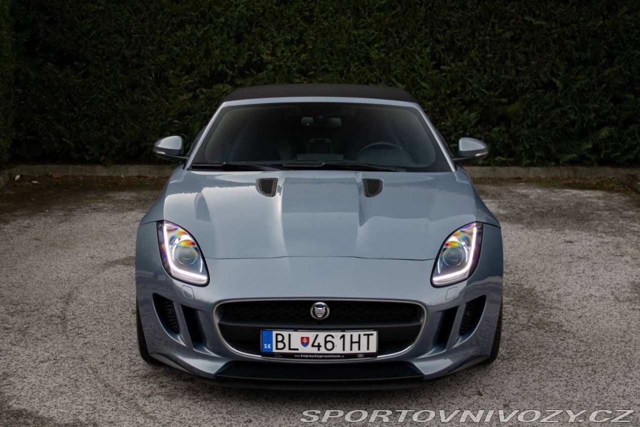 2014 Jaguar F-TYPE - 9