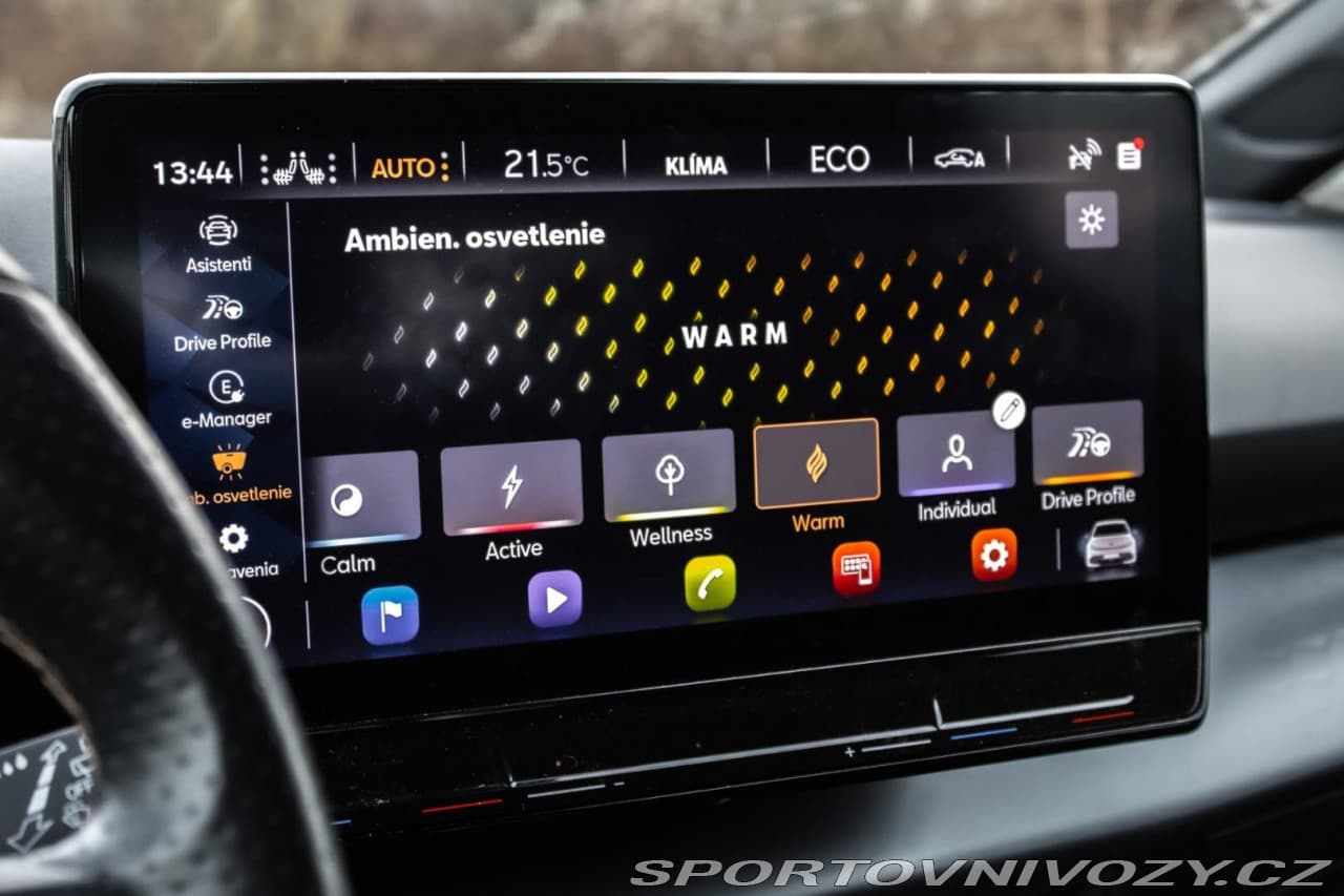 2022 Cupra Born - 40