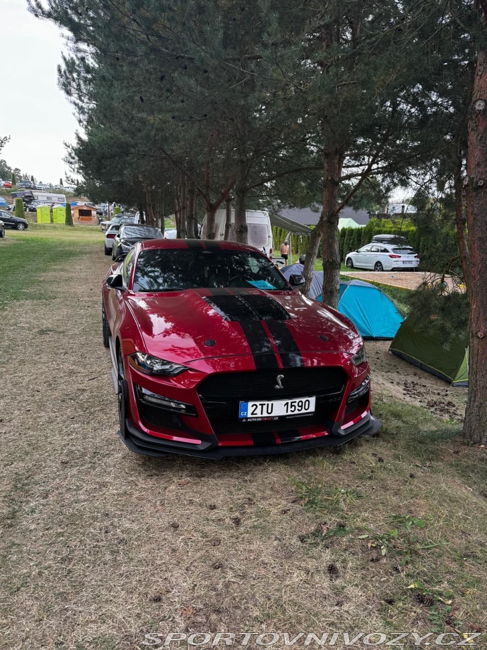 2021 Ford Mustang - 3