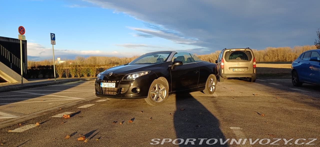 2010 Renault MEGANE - 12