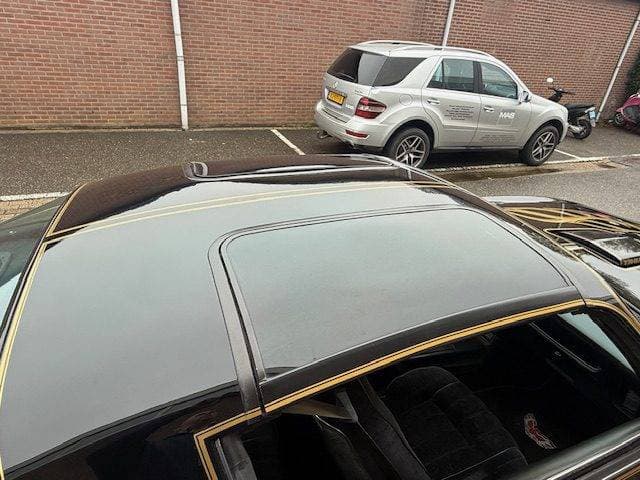 1978 Pontiac Firebird - 13